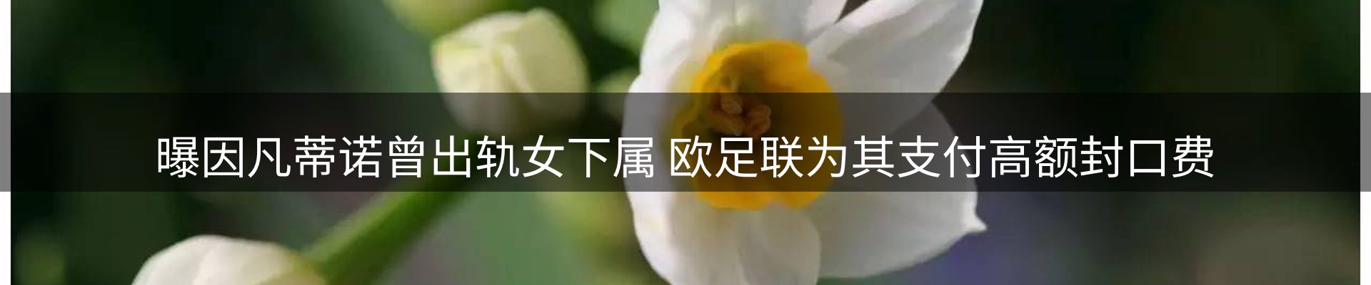内页banner