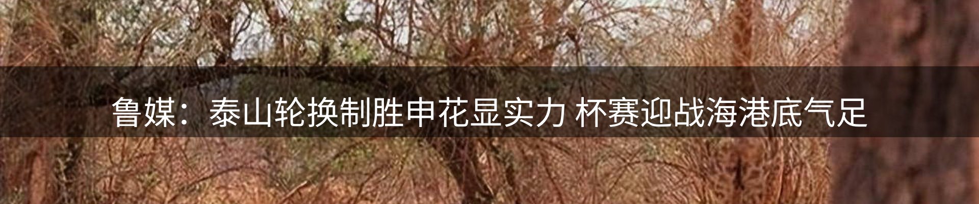 内页banner